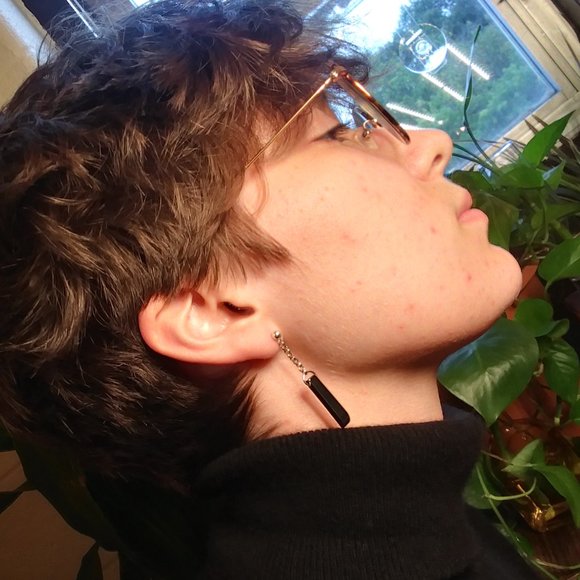 Hematite Prism Earrings - Picture 1 of 4